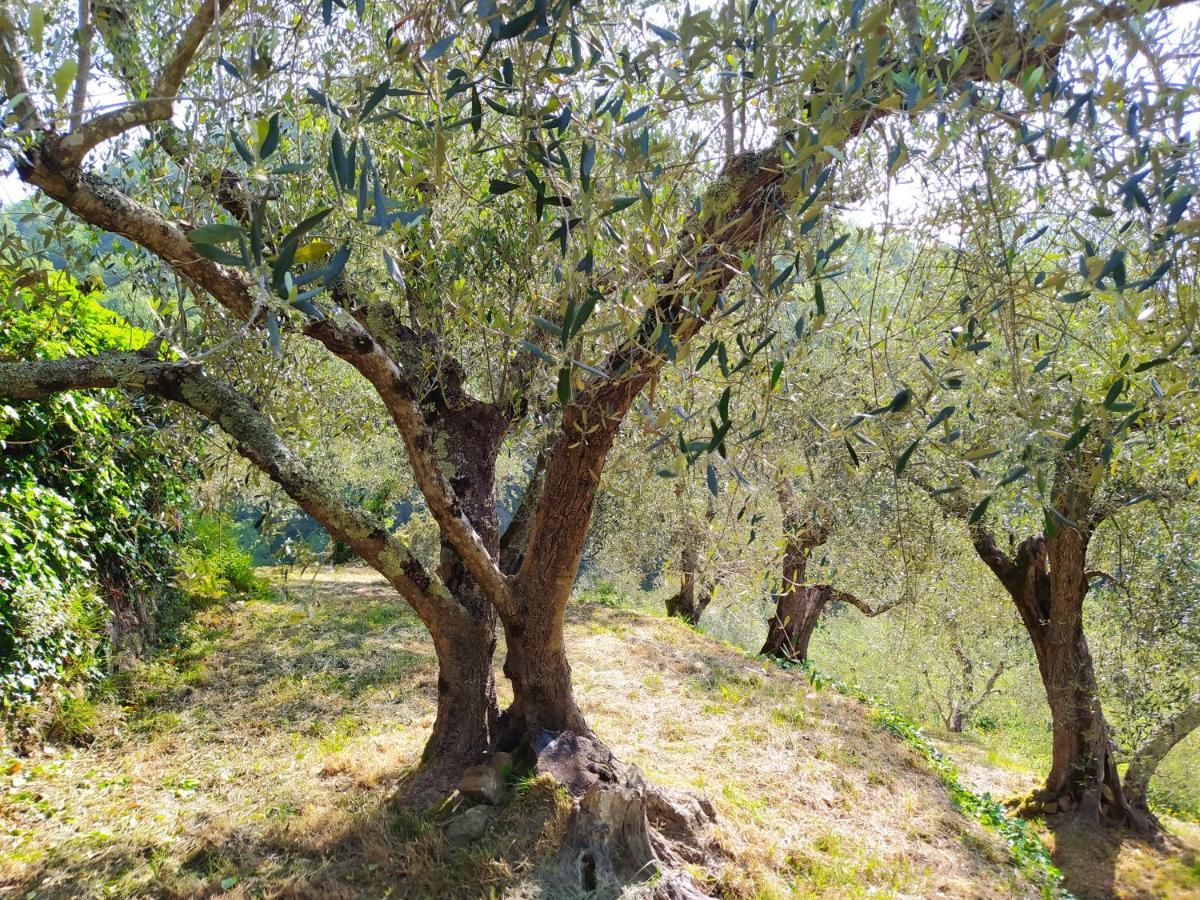 la casa di enea Villa Apricale Esterno foto